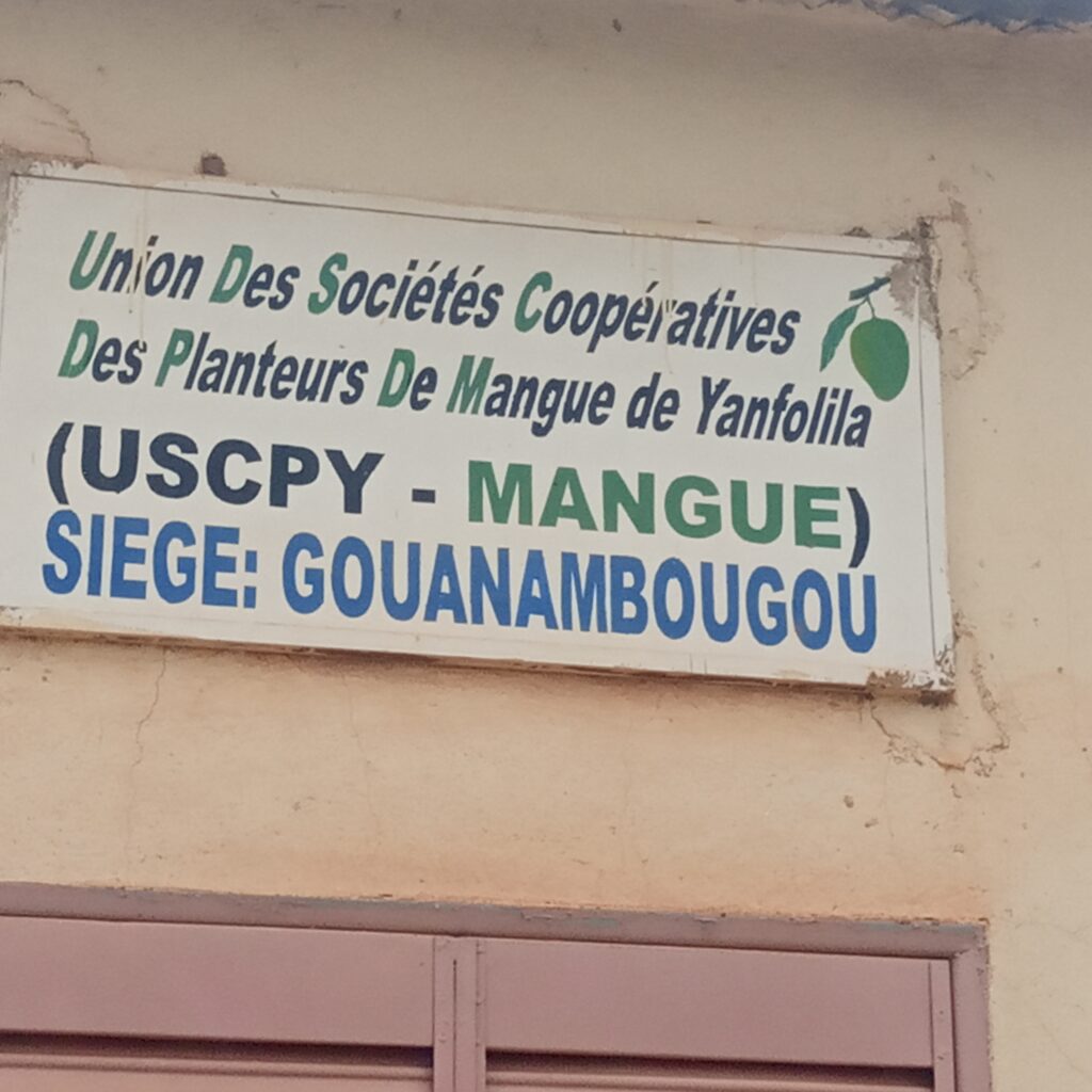 IMG_20240906_114004_728